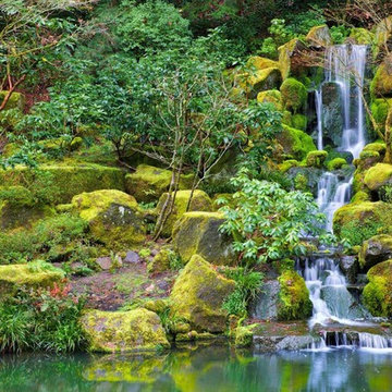 Westchester, NY - Pond Repair, Installation & Renovation Services