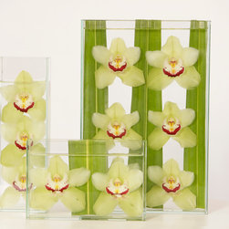 Sleek Orchid Vision Trio - Home Decor