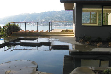 Pool - mid-sized modern backyard concrete and custom-shaped natural pool idea in San Francisco