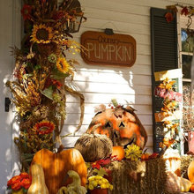 Fall Time!