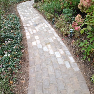Our Work
