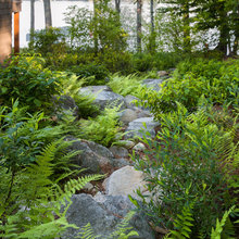 Cottage Landscaping