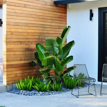 Cupertino Modern Full House Remodel