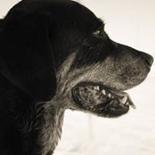 Jen Pattillo's photo