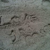 Foto von Nicole Breau