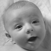 Jaime McDaniel's photo
