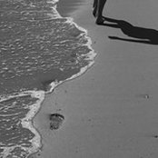 Amy Weingartner's photo
