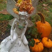 Kim Shahan's photo