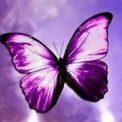 Joanne Hock's photo