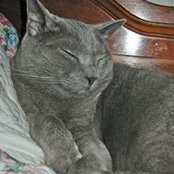 Mary Gardner's photo