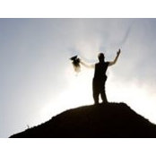 Alex Fostvedt's photo