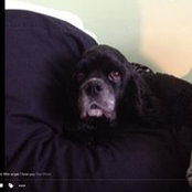Rob Wilson's photo