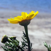 Terry Lehmann's photo