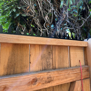 Otani Ninja Deterrent | GizaGiza Heart Single Bladed Black on Wood Deck Fence