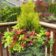 Flower Pots