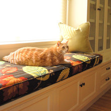 Cat Room