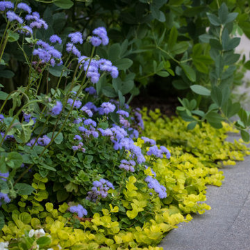Garden Paths