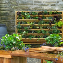 Garden Ideas Vegetable
