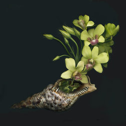 Artist:  Kimberly Charles - Photographs