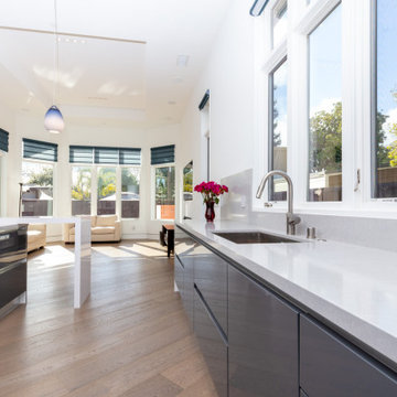 Palo Alto Grey & White Kitchen