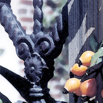 Miscellaneous Gardens and Pretty Things