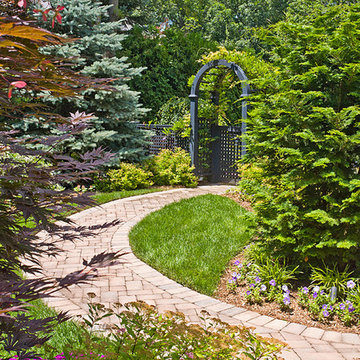 Backyard Landscape