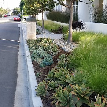 Drought Ready and Beautiful