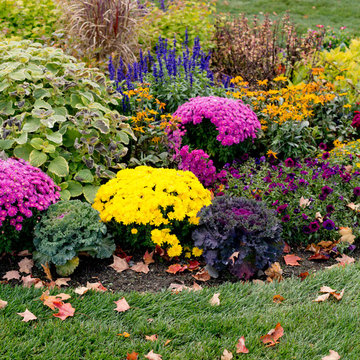 Houzz TV: Take a Leaf-Peeping Road Trip in New England
