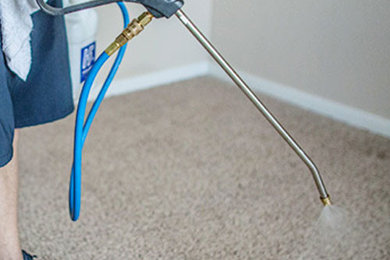 Carpet Stain Protection Melbourne