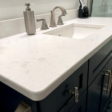 Cordova IL Master Bath Remodel Dura Supreme Hudson Gale Force Cambria Swanbridge