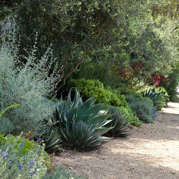 Mediterranean Landscape