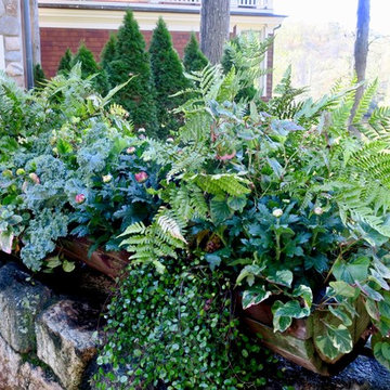 2017 autumn containers
