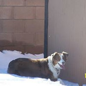 Lynn Daub's photo