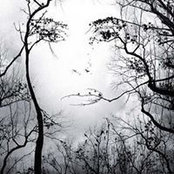 Wendy Ferrence-McEachern's photo