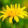 Seevetal Gartenbau