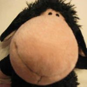 Foto von Allen S
