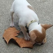 Nyla McMurray's photo