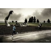 Lisa Cox's photo