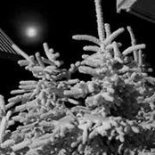 Mary Shively's photo