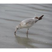 Tricia Meier's photo