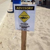 Bill Tibbetts's photo