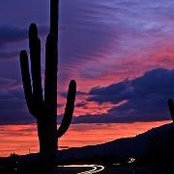 Patrick Hughes's photo