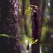 Ron Inabinett's photo