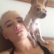 Meagan Smiths foto