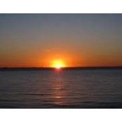 Trisha Lang's photo