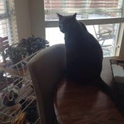 Chris Borchers's photo