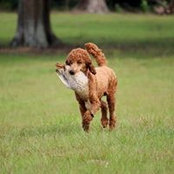 Jan McNeley's photo