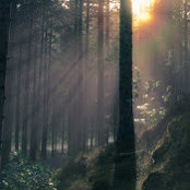 Craig Bunyan's photo