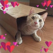 Holly Joy's photo