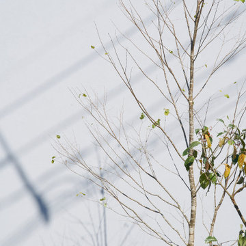 Architectural Design, Interior Design | Kumamoto